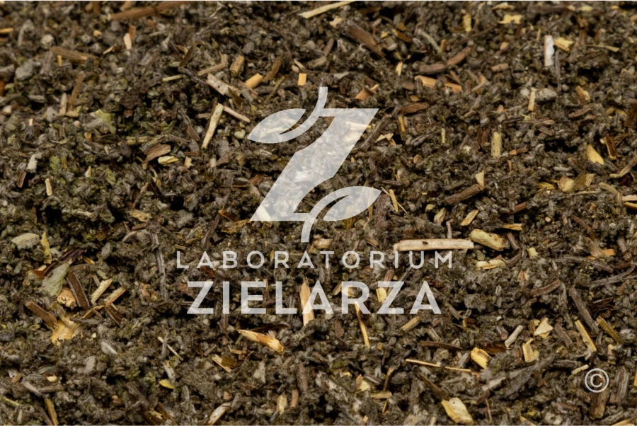 Liść szałwi