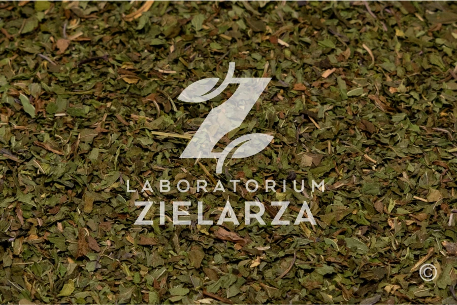 Mięta pieprzowa liść