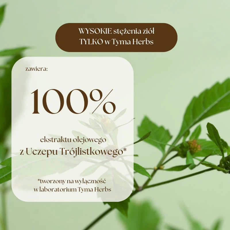 uczepolejek.webp