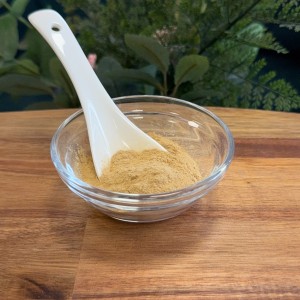 Ekstrakt z guarany 4:1