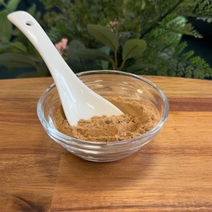 Ekstrakt z kłączy różeńca górskiego 4:1