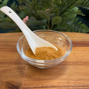 Ekstrakt z korzeni i kłączy eleuterokoka kolczastego 4:1